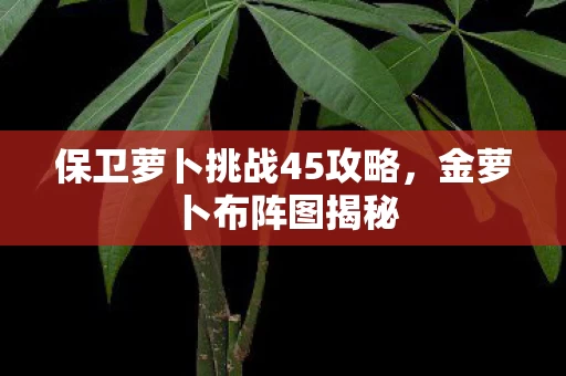 保卫萝卜挑战45攻略图片