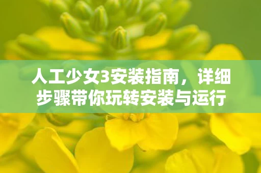 详细步骤带你玩转安装与运行图片