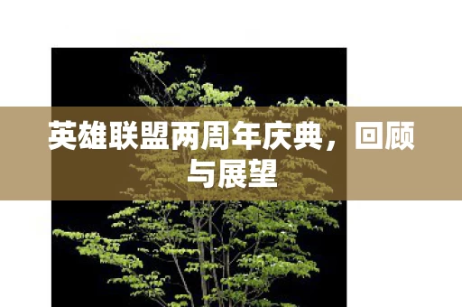 英雄联盟两周年庆典图片