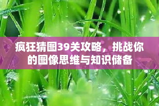 挑战你的图像思维与知识储备图片