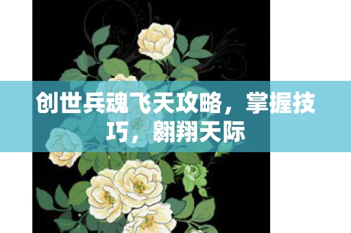 创世兵魂飞天攻略图片