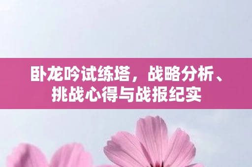 挑战心得与战报纪实图片