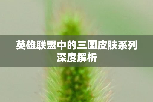 英雄联盟中的三国皮肤系列深度解析图片