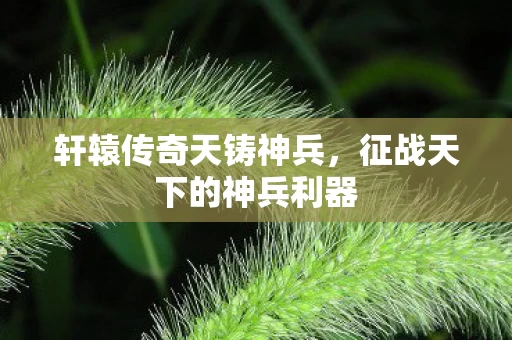 征战天下的神兵利器图片