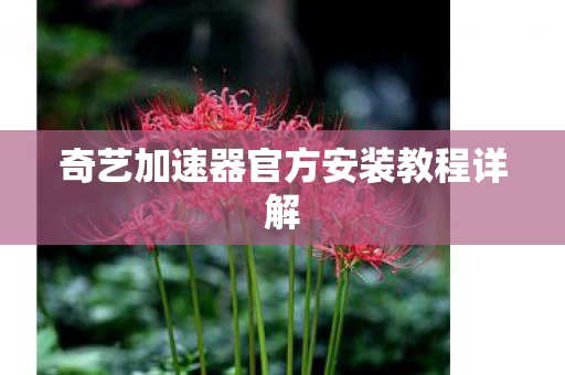 奇艺加速器官方安装教程详解图片