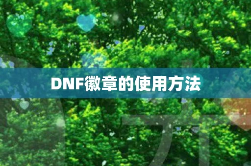 DNF徽章的使用方法图片