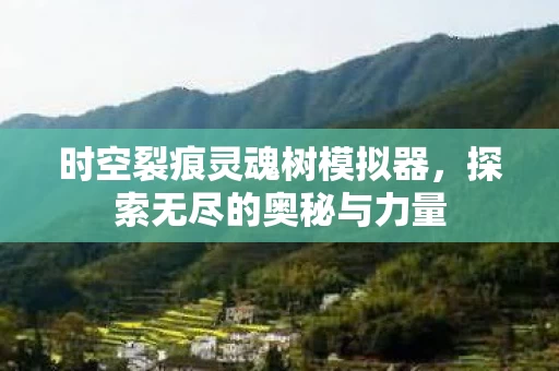 时空裂痕灵魂树模拟器图片