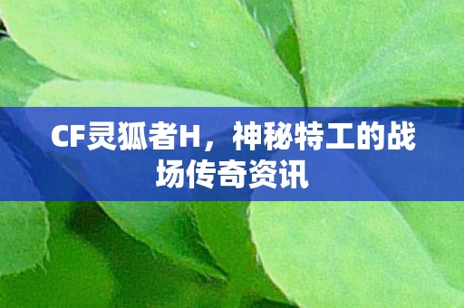 神秘特工的战场传奇资讯图片