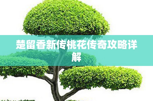 楚留香新传桃花传奇攻略详解图片