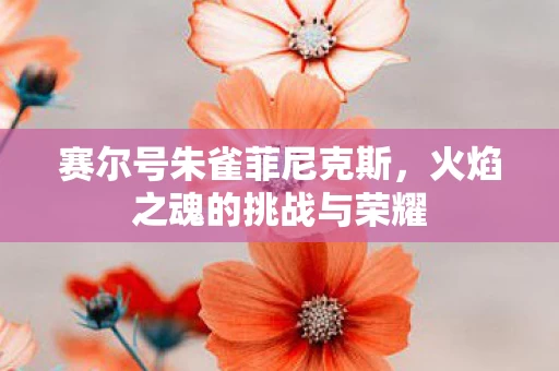 火焰之魂的挑战与荣耀图片