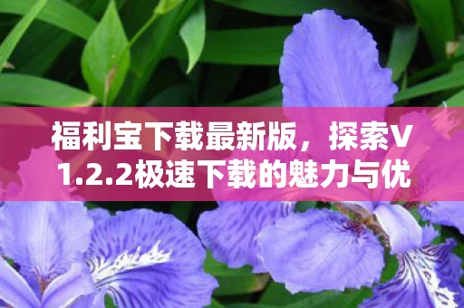 2极速下载的魅力与优势图片