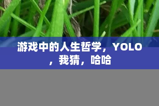 游戏中的人生哲学图片
