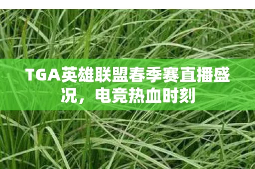 TGA英雄联盟春季赛直播盛况图片