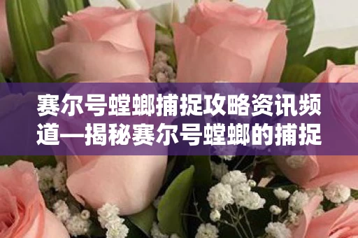 赛尔号螳螂捕捉攻略资讯频道图片