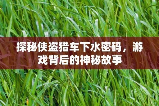探秘侠盗猎车下水密码图片