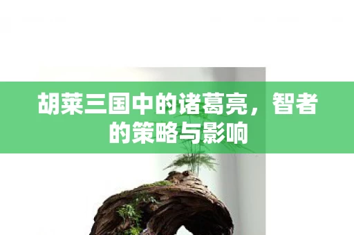 胡莱三国中的诸葛亮图片