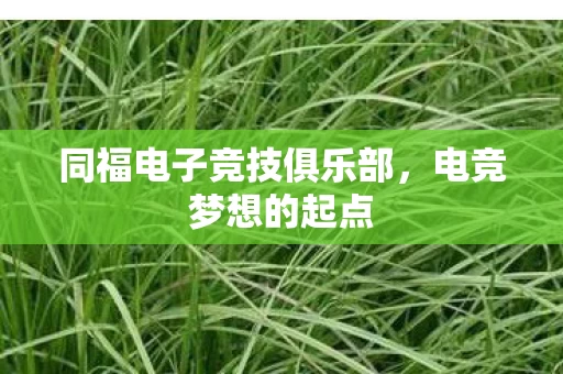 同福电子竞技俱乐部图片