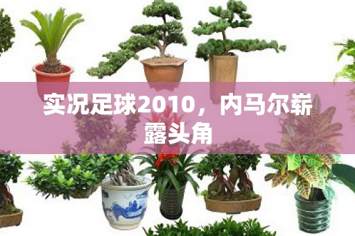 实况足球2010图片