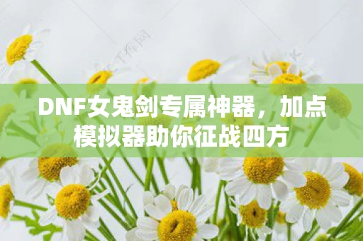 加点模拟器助你征战四方图片