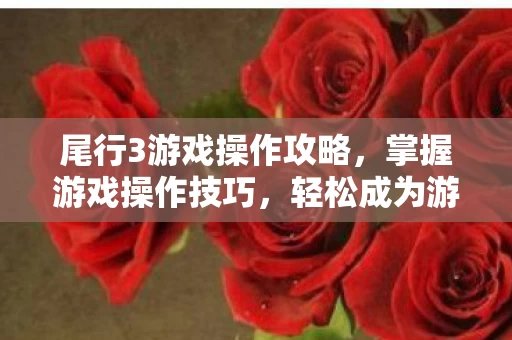 尾行3游戏操作攻略图片