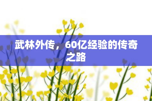 60亿经验的传奇之路图片