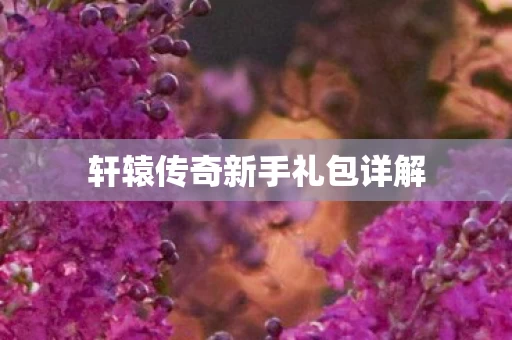 轩辕传奇新手礼包详解图片