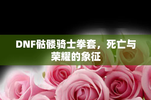 DNF骷髅骑士拳套图片