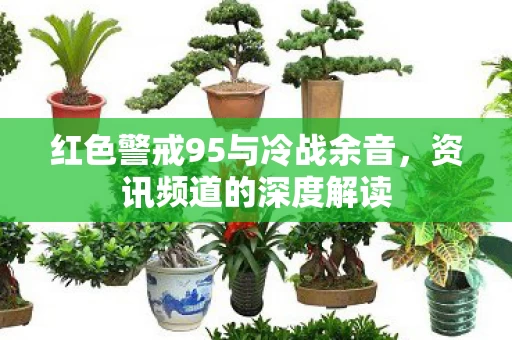 红色警戒95与冷战余音图片