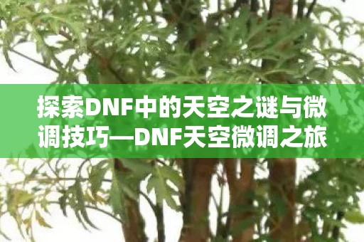 探索DNF中的天空之谜与微调技巧图片