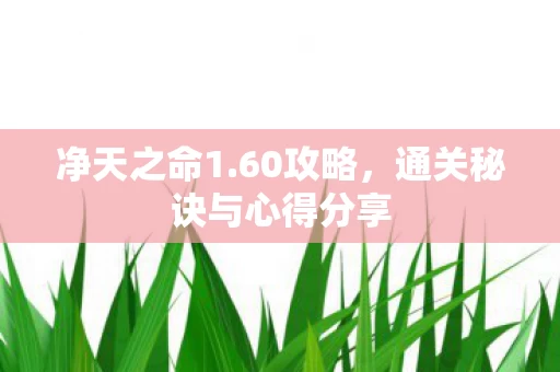 通关秘诀与心得分享图片