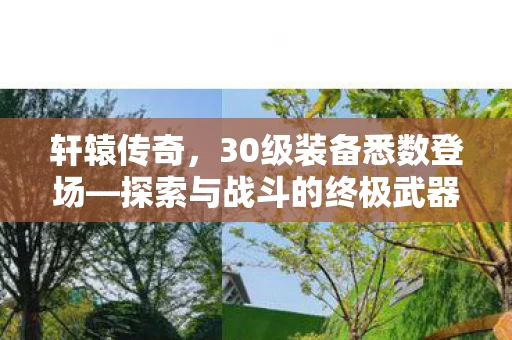 探索与战斗的终极武器图片