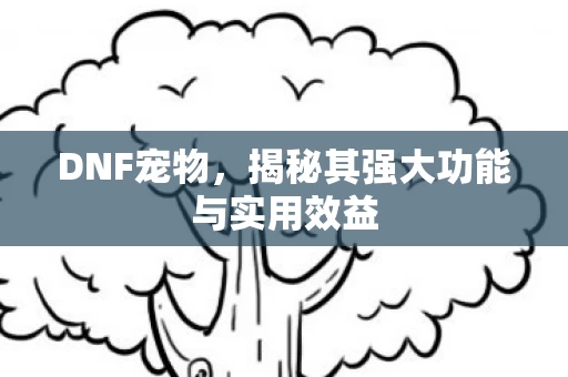 揭秘其强大功能与实用效益图片