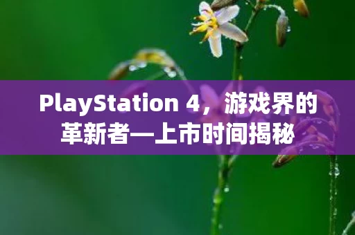PlayStation 4图片