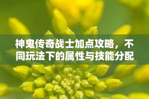 不同玩法下的属性与技能分配图片