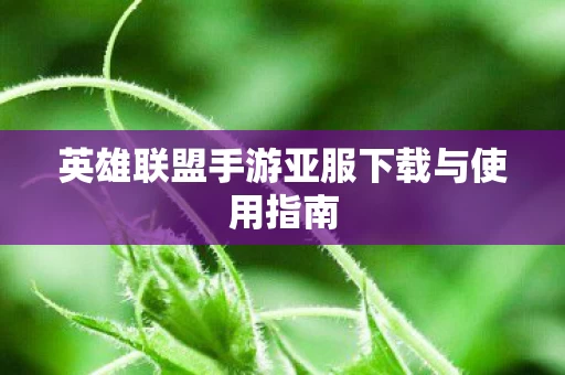 英雄联盟手游亚服下载与使用指南图片