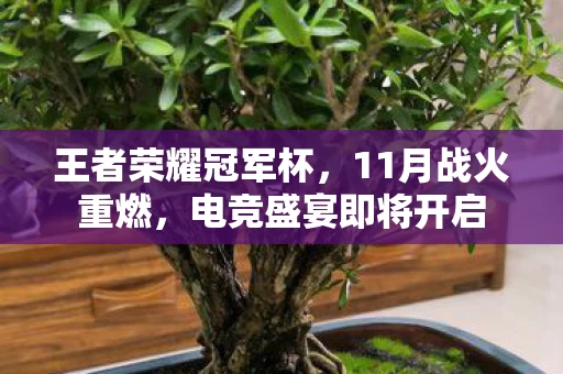 电竞盛宴即将开启图片