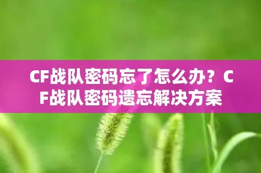 CF战队密码遗忘解决方案图片