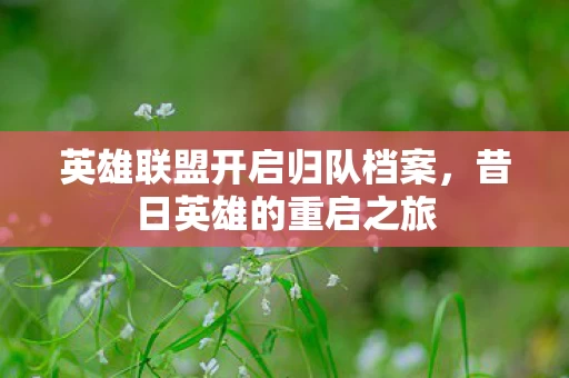 英雄联盟开启归队档案图片