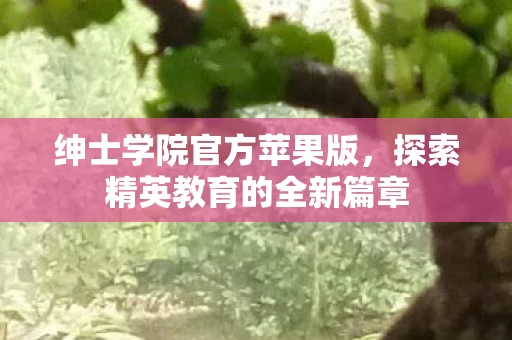 探索精英教育的全新篇章图片