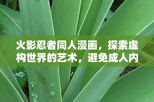 探索虚构世界的艺术图片