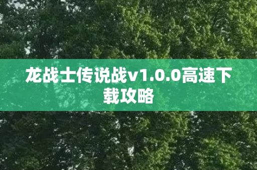 龙战士传说战v1图片