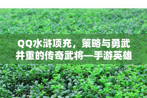 策略与勇武并重的传奇武将图片