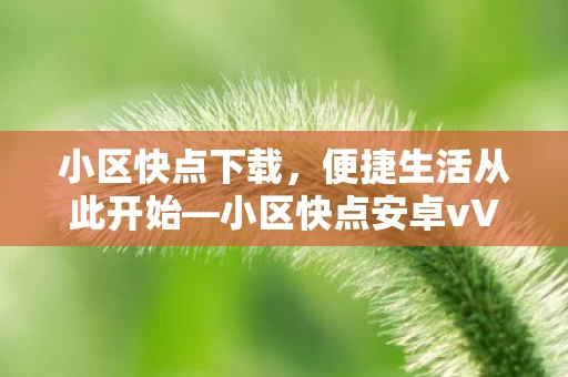 小区快点安卓vV1图片