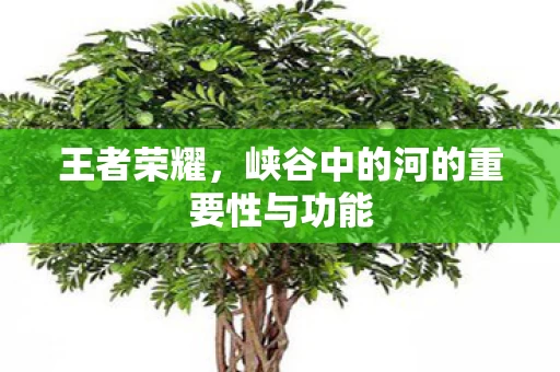 峡谷中的河的重要性与功能图片