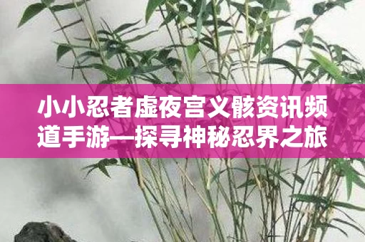 小小忍者虚夜宫义骸资讯频道手游图片