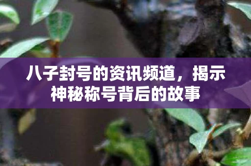 揭示神秘称号背后的故事图片