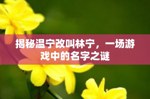 一场游戏中的名字之谜图片