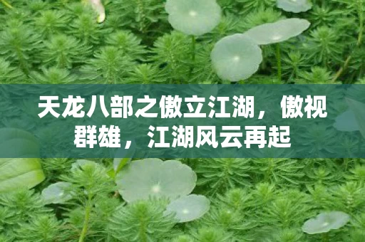 天龙八部之傲立江湖图片