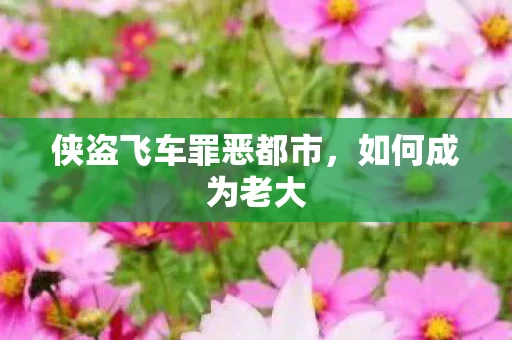 侠盗飞车罪恶都市图片