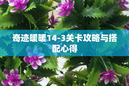 3关卡攻略与搭配心得图片
